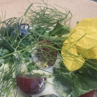   at De Kas in Amsterdam