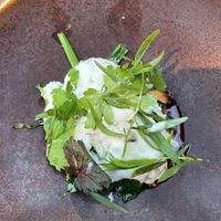   at De Kas in Amsterdam