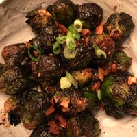 Brussels  at Panacea in Las Vegas