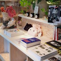 Concept store at TICH Healthy Living in Brussels