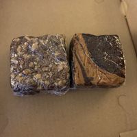   at Vertical Diner in Salt Lake City