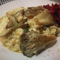 Main plate dinner risotto at Bosque in Sintra