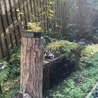  at Kitotoki in Kamakura