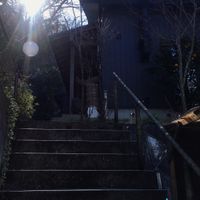 Found it! at Kitotoki in Kamakura