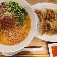 Golden sesame ramen and vegetable gyoza 👌 at T's Tantan - JR Ueno in Tokyo
