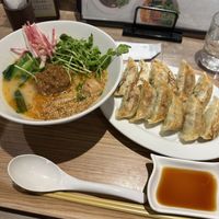 金胡麻担々麺+T'sベジ餃子  at T's Tantan - Ecute Ueno in Tokyo