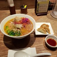 Golden sesame ramen and gyoza at T's Tantan - JR Ueno in Tokyo