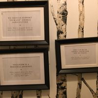 Vegan messages on the walls and above the toilet :) at Mythology in Toronto