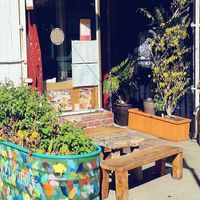  at Beloved Natural Cafe & Organic Juicery in San Francisco