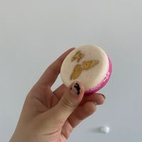 Solid shampoo vegan at LUSH - Rotenturmstr in Vienna