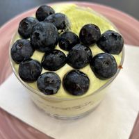 Dolce di Mirtillo/pistacchio  at L'Orto Bistrot in Turin