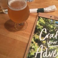 Juiced my style IPA at Upland Brewing Company in Bloomington