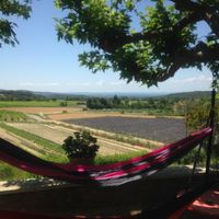View from the terrace at Les Terrasses du Soleil in Le Pegue