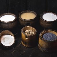 plant based milk:
-coconut
-hemp
-poppyseed at Agharti in Odessa