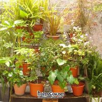 Outside eating area at Nakite in Porto