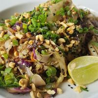 vegan pad thai at Coleos Cafe in Playa Venao