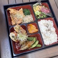 vegan  bento box  at Little High Eatery in Christchurch