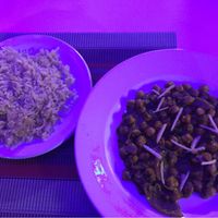 Chickpea curry with fresh sliced ginger served with brown rice at Taj Mahal  in Oaxaca