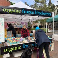 Blueberry Vendor at Ballard Farmers Market in Seattle