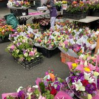 Flower Vendor at Ballard Farmers Market in Seattle