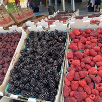 Berries at Capitol Hill Sunday Farmers Market in Seattle