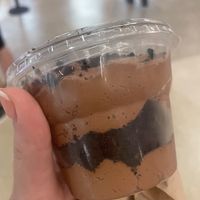 Size of pot   at Walt Disney World - Sunshine Seasons in Lake Buena Vista