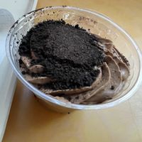 Cookies and cream mousse  at Walt Disney World - Sunshine Seasons in Lake Buena Vista