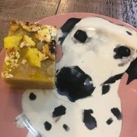 Lemon slice  at East Village Cafe in Bristol