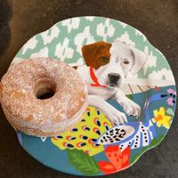  at East Village Cafe in Bristol