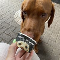   at East Village Cafe in Bristol