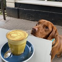   at East Village Cafe in Bristol