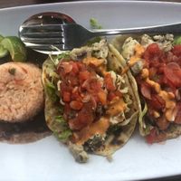 Barracuda steamed tacos  at Bajo Taco Tacos & Tequila in 