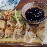 vegan tofu gyoza at Bamboo in Bratislava