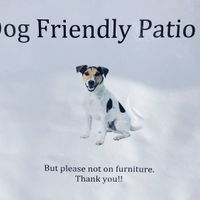 Pet friendly  at The Bean Counter Cafe in Picton