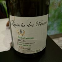 A very good vegan white wine at Casanova in Porto