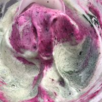 Fruit jungle whip with spiraling at Happy Zoe Vegan Bakery in Brooklyn