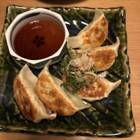 Gyoza at Pettirosso in Kyoto