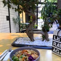 Budha falafel bowl  #Veganuary at YayaRaw in Izmir