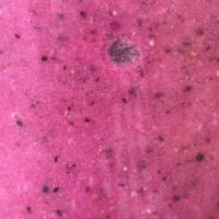 Dragonfruit smoothie   at Herbivores in Kailua Kona