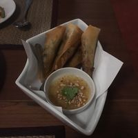 Amazing spring rolls  at Goodsouls Kitchen in Chiang Mai