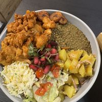   at Deserted Cactus in South East London