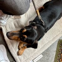   at Het Strand - The Strand in Leuven