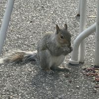   at Grounded for Life Cafe in Clinton