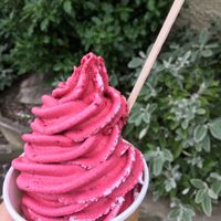 Vegan real fruit ice cream  at Walt's Real Fruit Icecream in Auckland