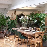 Amazing selection of outdoor and indoor plants! at W6 Garden Centre Cafe in West London