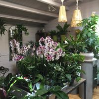 W6 Garden at W6 Garden Centre Cafe in West London