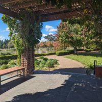  at Zen Oasis in Berrima