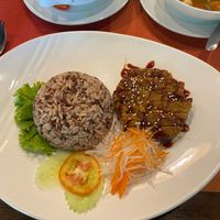  at Yes Vegan in Pattaya