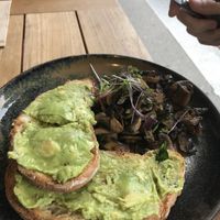 Avocado and mushroom on sourdough toast  at Caffiend in Cairns