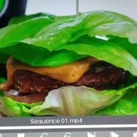 No idea at Veggy Street in Las Vegas